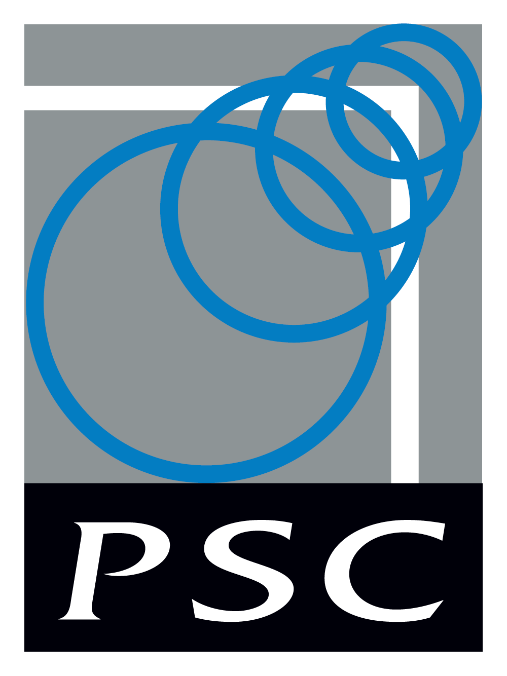 Interview for the ISS PSC Report