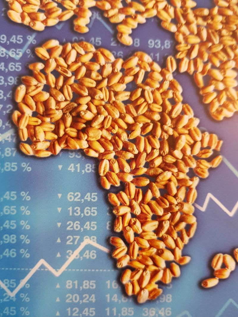 Image for the Tweet beginning: Trade, Law and Development
published my